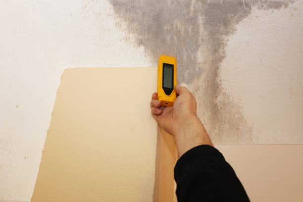 Best Water Damage & Mold Remediation  in Garretson, SD