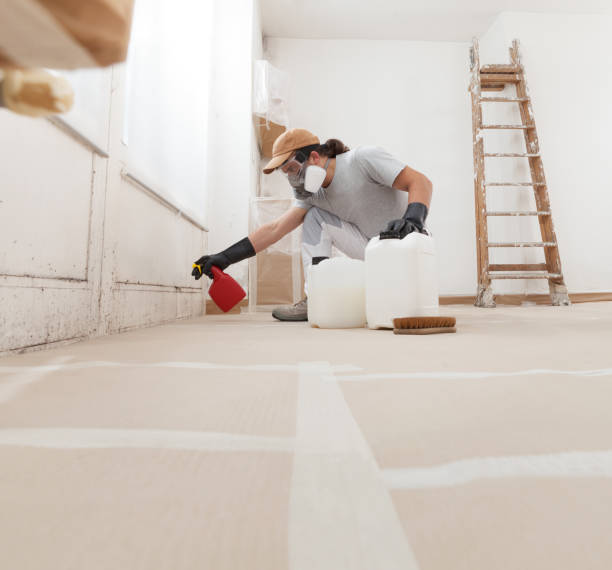 Best Forensic Mold Investigation  in Garretson, SD