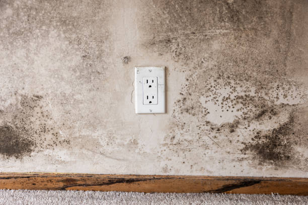 Best Mold Remediation for Healthcare Facilities  in Garretson, SD